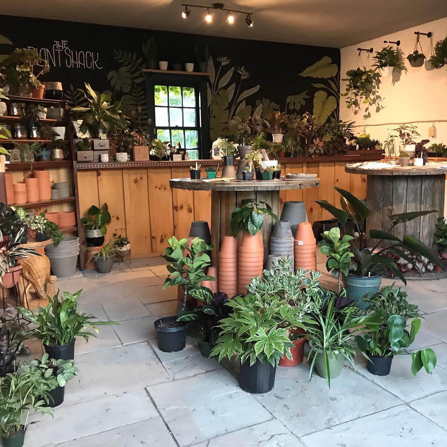 THE PLANT SHACK